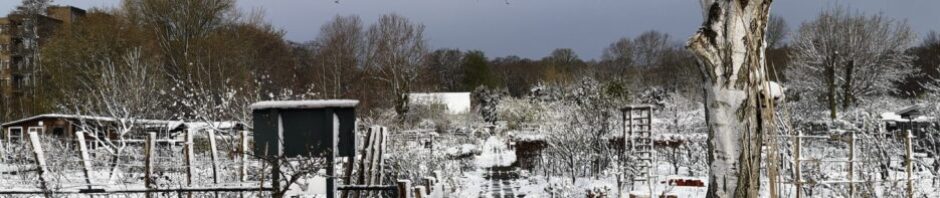 Tuinbouwvereniging Buytentwist