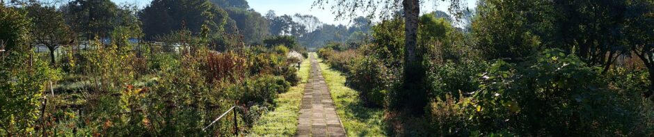 Tuinbouwvereniging Buytentwist